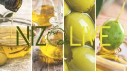 Grillfürst Feinkost - Olivenöl Niz Olive Memecik - Nativ Extra - Mehrfach International Preisgekrönt - 500ml -Grillzubehörladen Grillfuerst Feinkost Olivenoel nativ Extra gruene Oliven