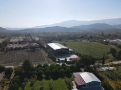 Grillfürst Feinkost - Olivenöl Niz Olive Memecik - Nativ Extra - Mehrfach International Preisgekrönt - 500ml -Grillzubehörladen Niz Olive Produktionsstaette bestes Olivenoel weltwet